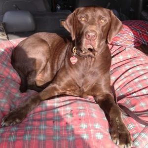 Meet your Posher, Joannedeltra